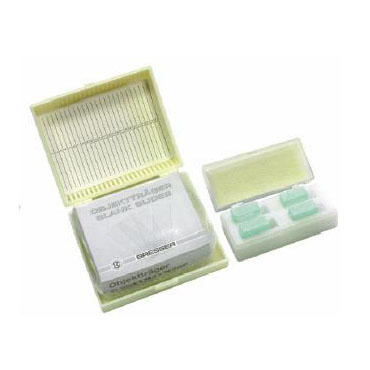 Blank slides and cover glasses - 50 pack